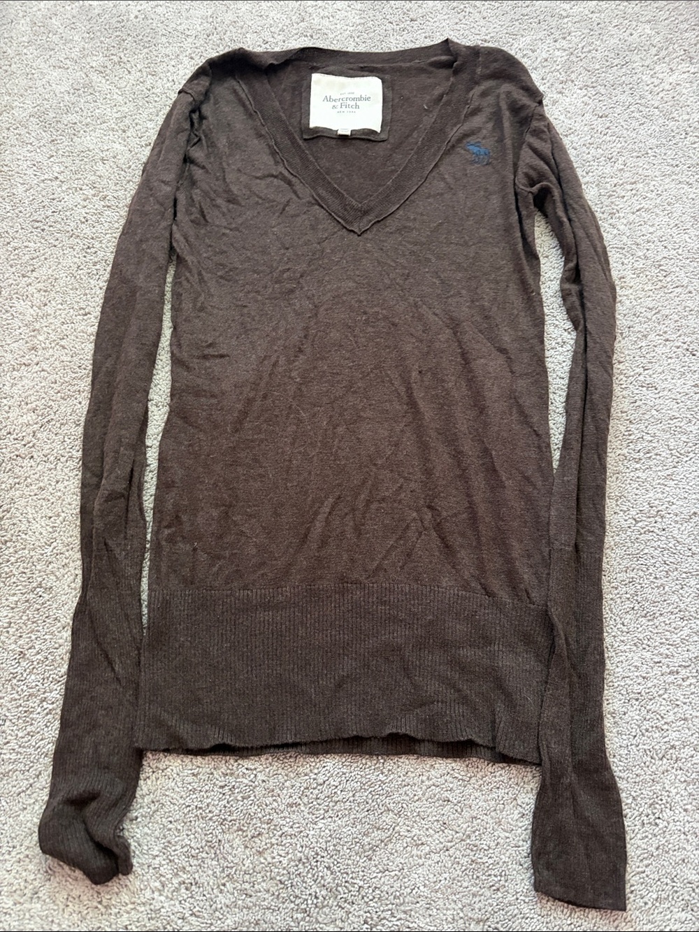 Abercrombie & Fitch Women's V-Neck Brown Sweater with Blue Logo
